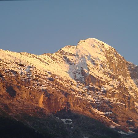 Tschuggen Apartment - No Kitchen Grindelwald Exteriör bild