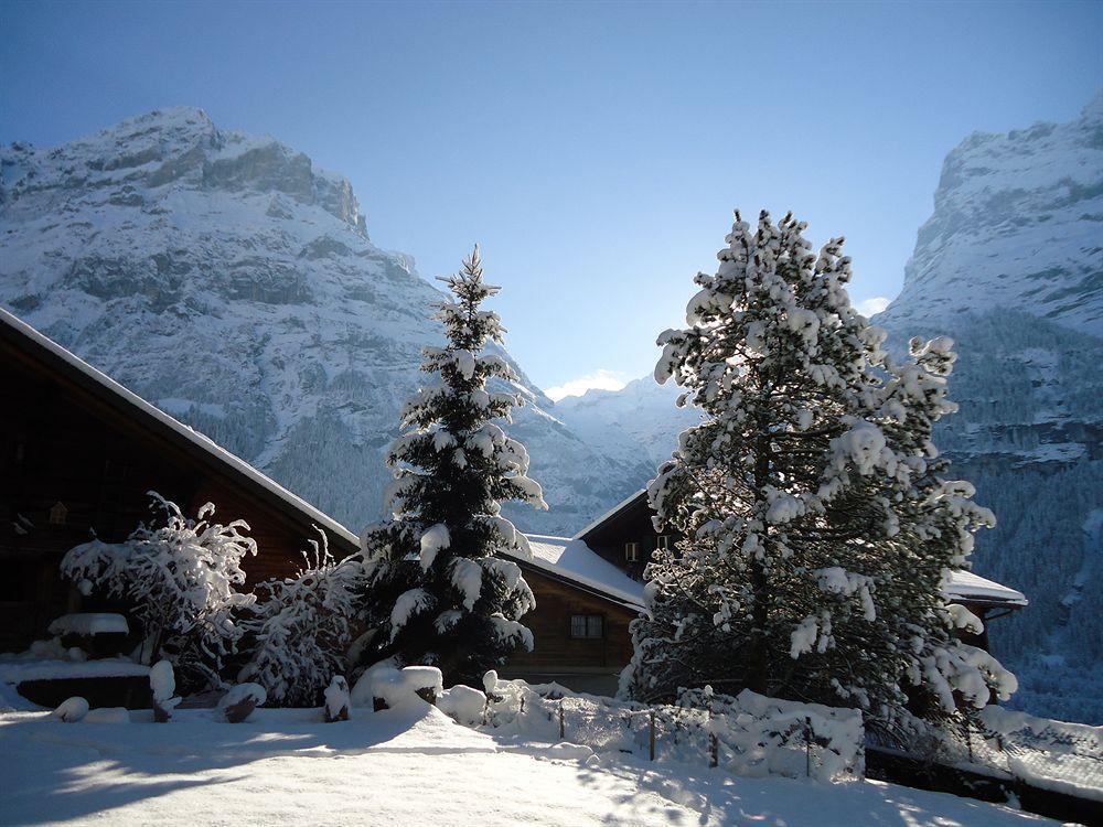 Tschuggen Apartment - No Kitchen Grindelwald Exteriör bild