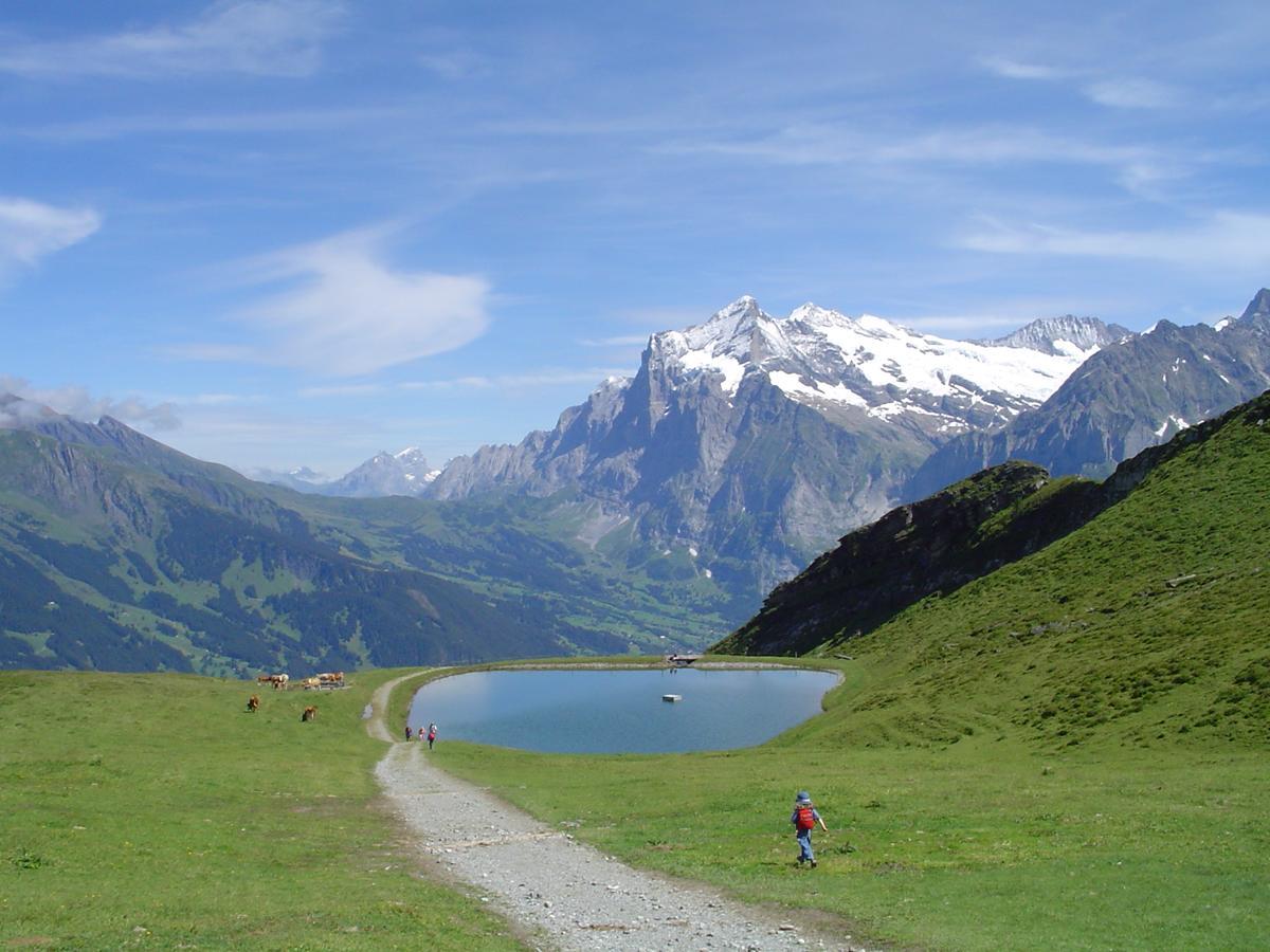 Tschuggen Apartment - No Kitchen Grindelwald Exteriör bild