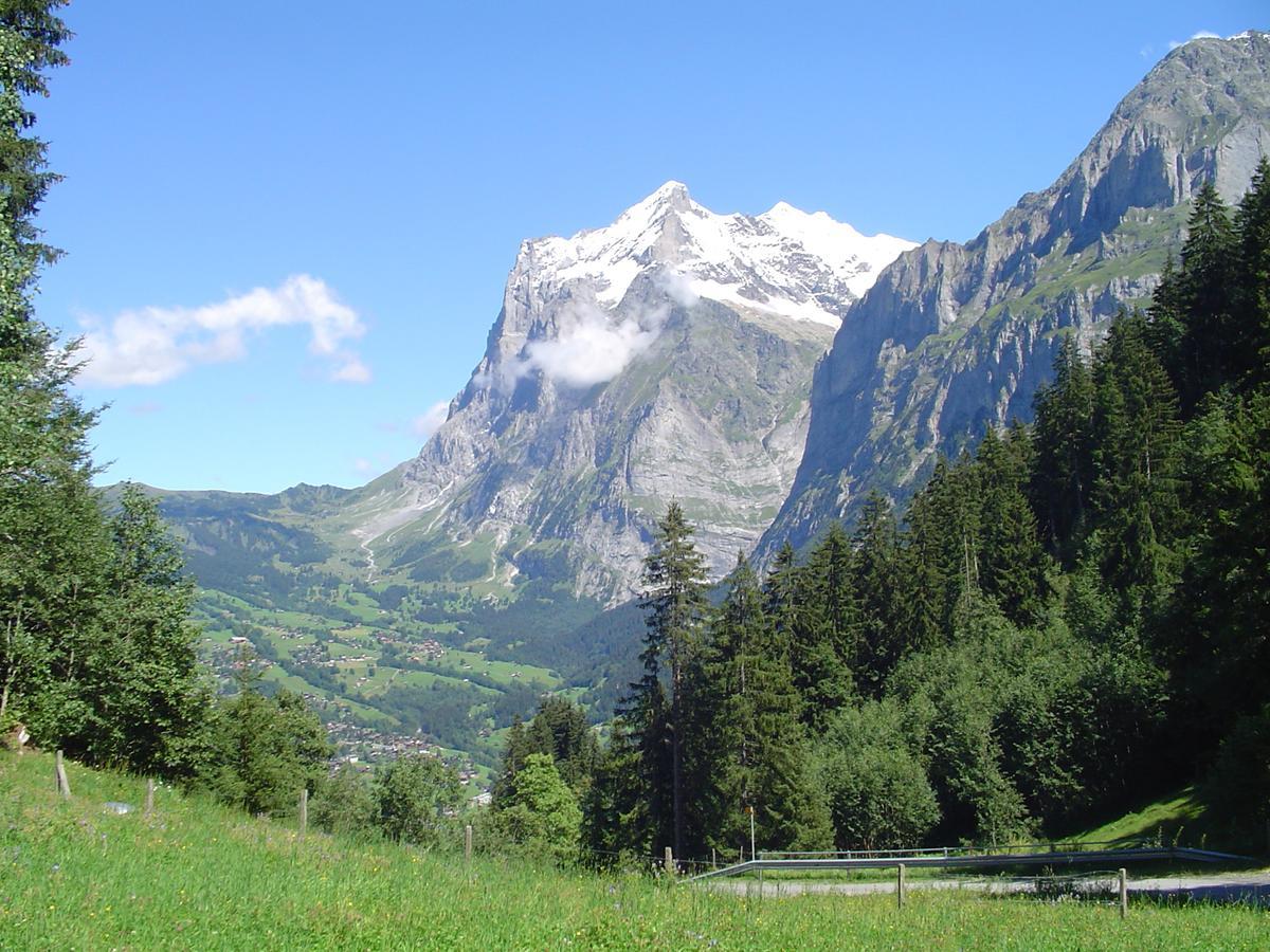 Tschuggen Apartment - No Kitchen Grindelwald Exteriör bild