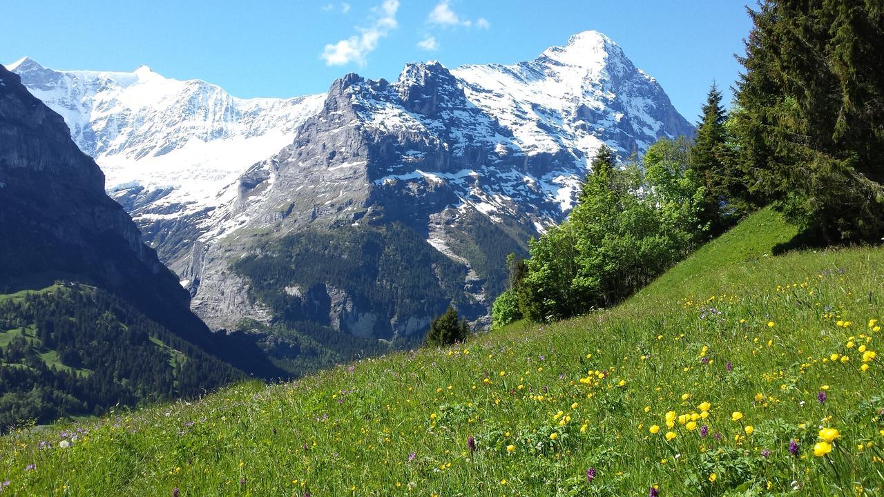 Tschuggen Apartment - No Kitchen Grindelwald Exteriör bild