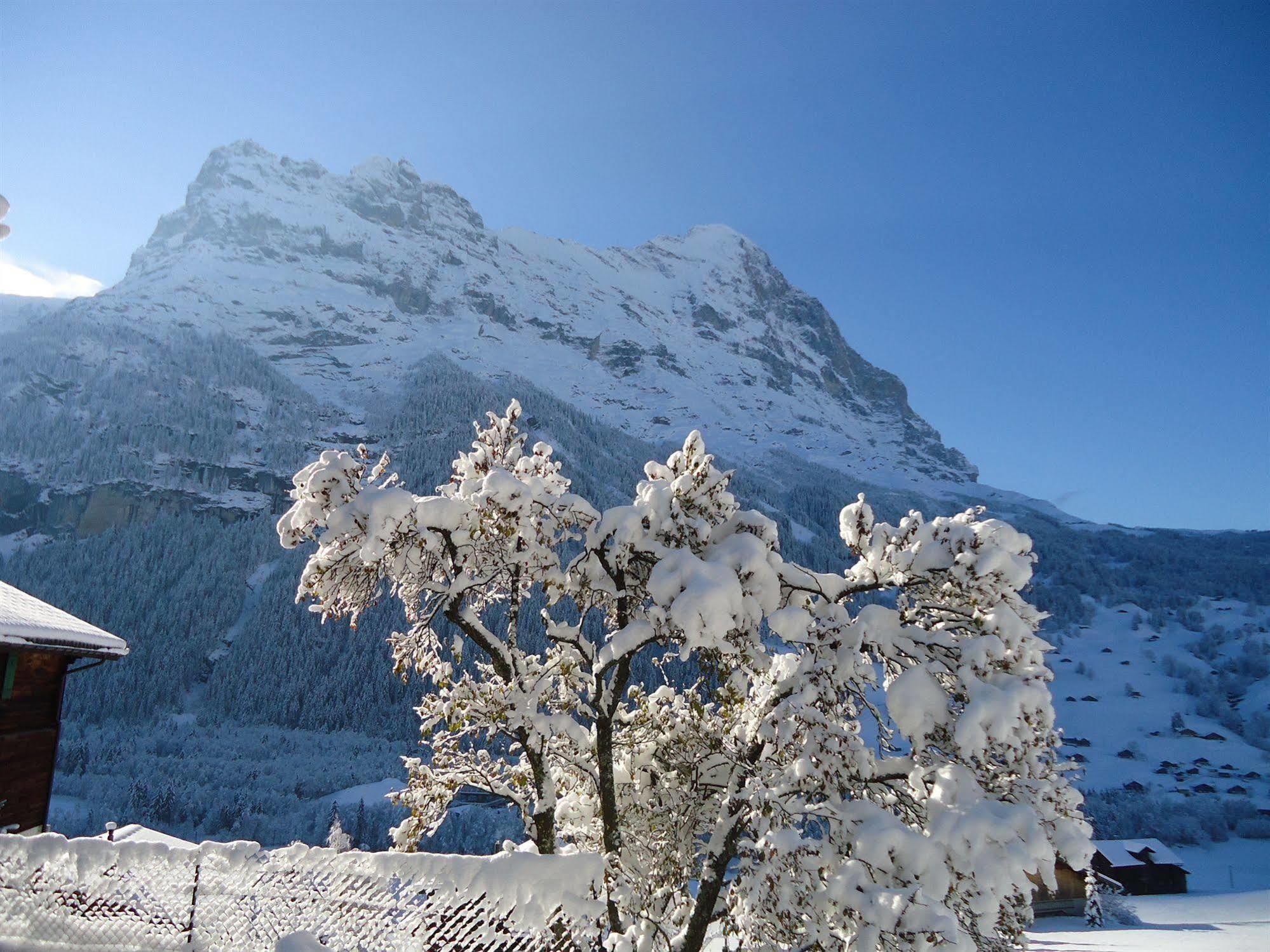 Tschuggen Apartment - No Kitchen Grindelwald Exteriör bild