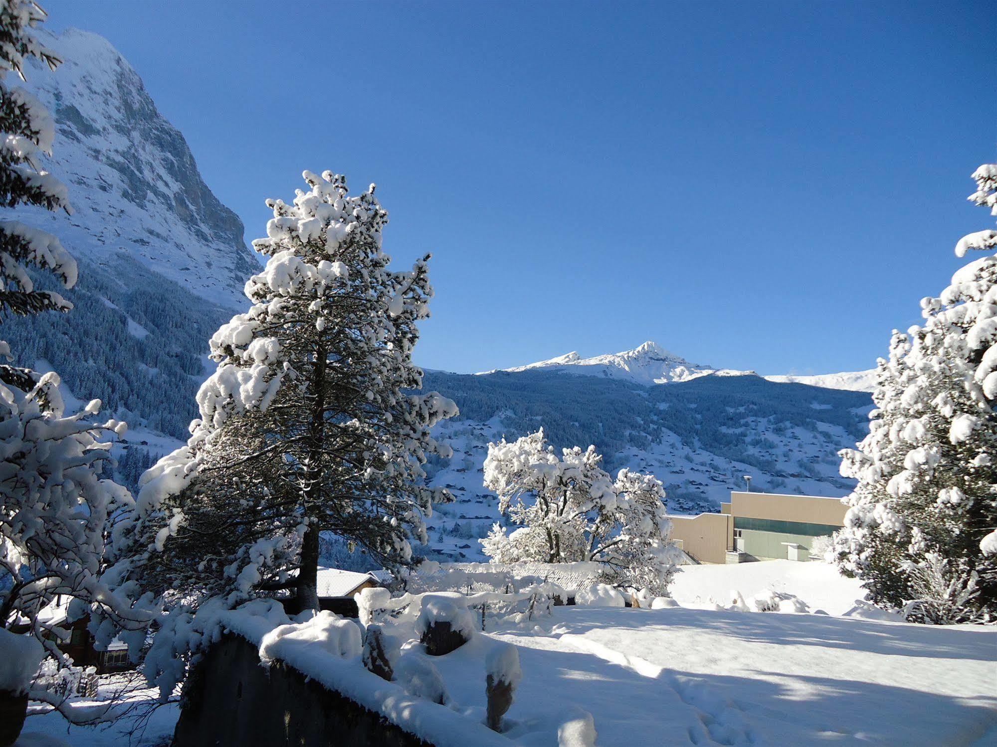 Tschuggen Apartment - No Kitchen Grindelwald Exteriör bild