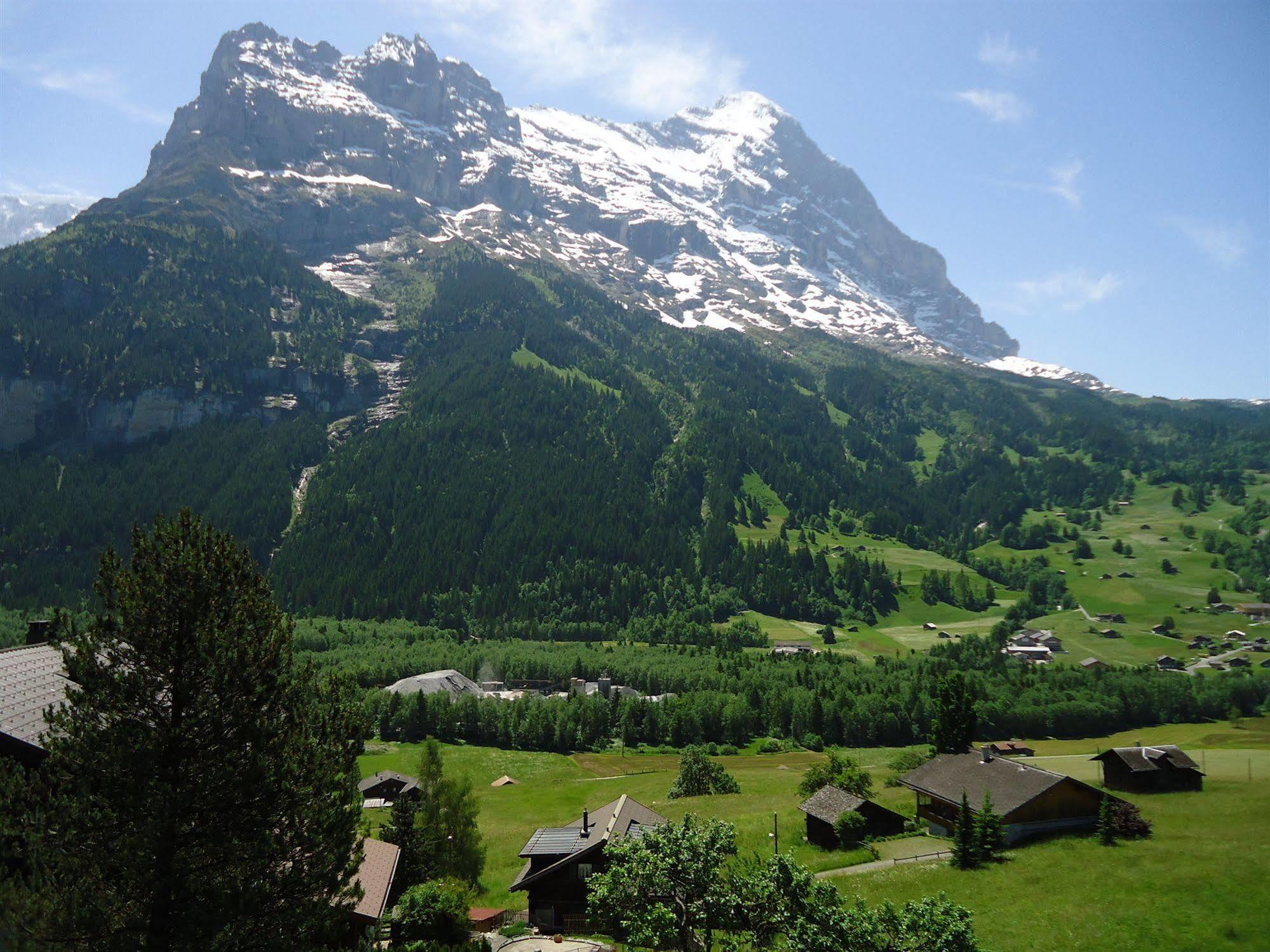 Tschuggen Apartment - No Kitchen Grindelwald Exteriör bild